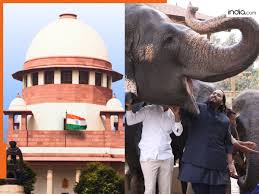 मुकेश अंबानी के बेटे अनंत अंबानी पर बड़ा अपडेट! सुप्रीम कोर्ट का आदेश,  वंतारा मामले की जांच करेगी SIT