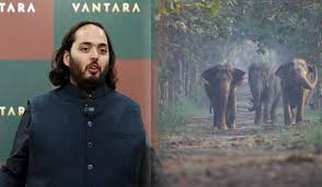 शादी से पहले Anant Ambani की जानवरों के लिए खास पहल, जानिए क्या है Vantara  Project? - anant ambani launches world biggest animal rescue center-mobile
